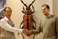 INSECT-MUSEUM_TAIWAN